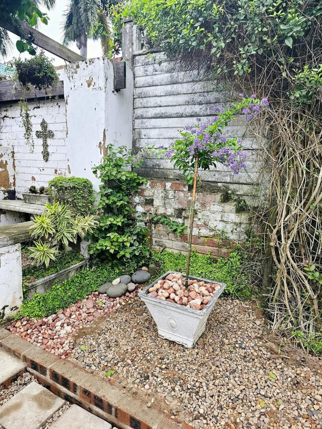 Le'Cottage Скотбург Екстериор снимка